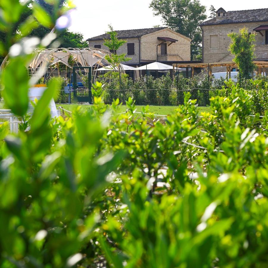 Moretti Village - Sophie Rooms Country House Civitanova Marche Εξωτερικό φωτογραφία